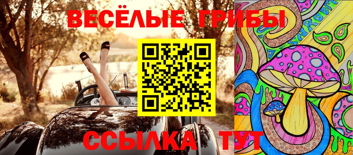 Псилоцибиновые грибы Psilocybine cubensis  Вход с VPN  Усинск 