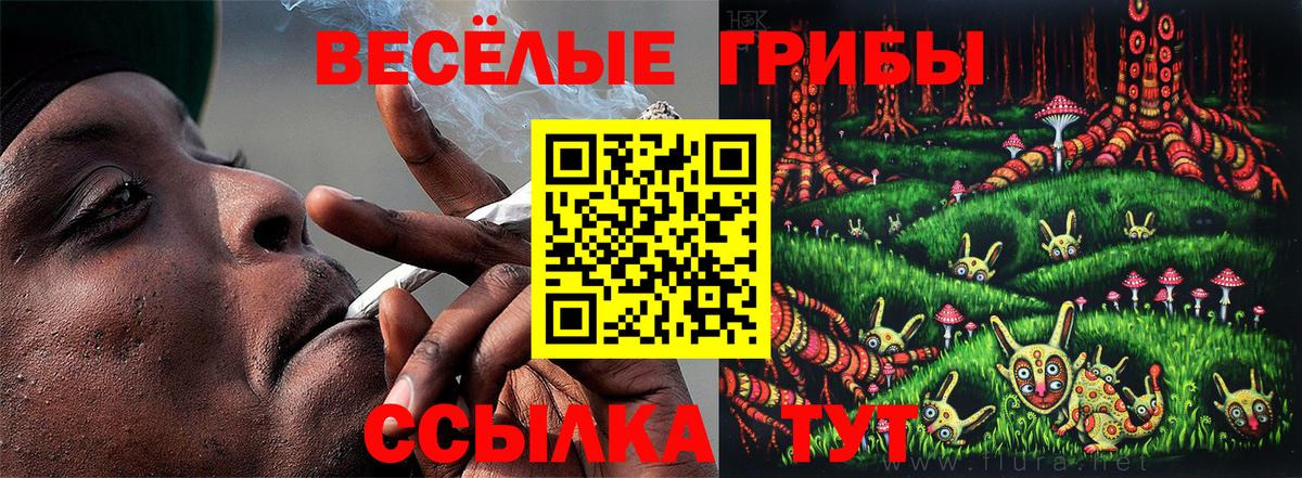 Псилоцибиновые грибы MAGIC MUSHROOMS Усинск